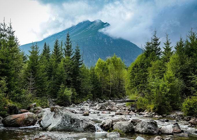Mountain River Landscape with Forest in the High Tatras