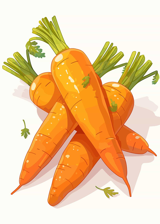 Pile of Fresh Carrots Illustration