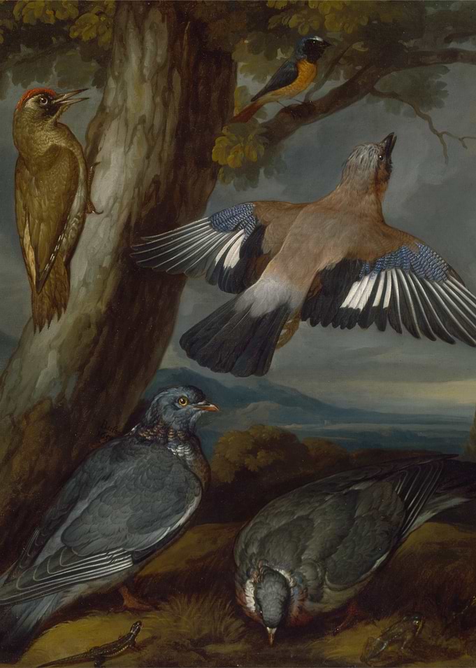 Birds in a Landscape Painting