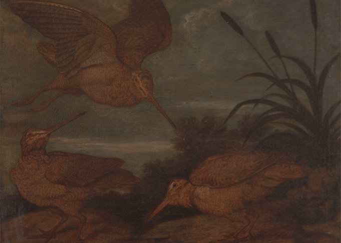 Woodcocks in a Landscape Painting