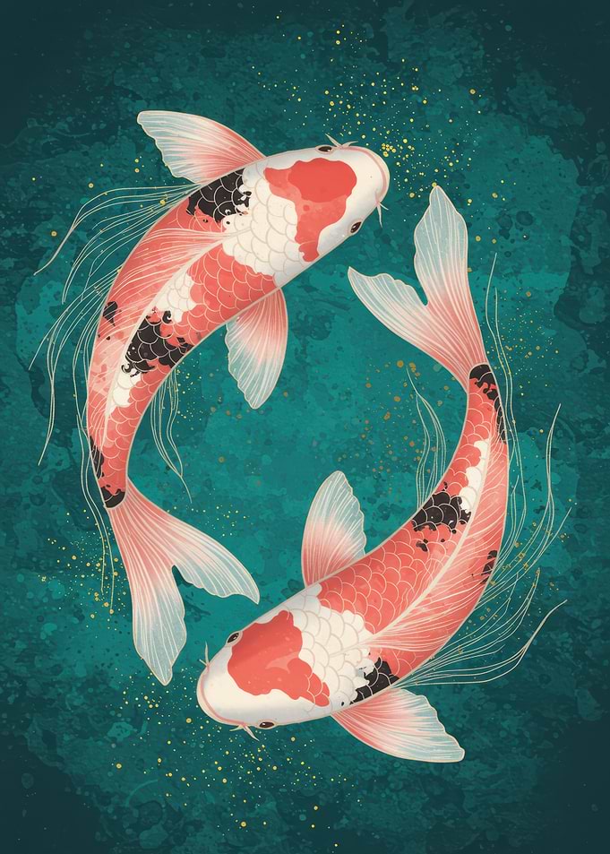 Koi Fish Yin Yang Illustration