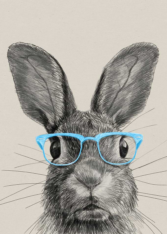 Rabbit with Glasses Pencil Drawing