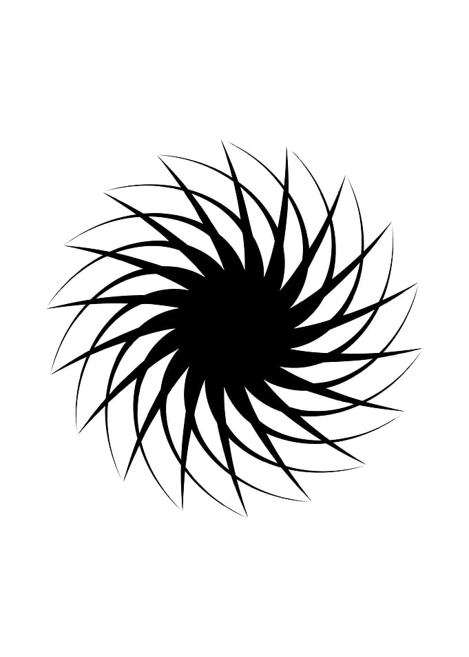 Abstract Black and White Floral Design
