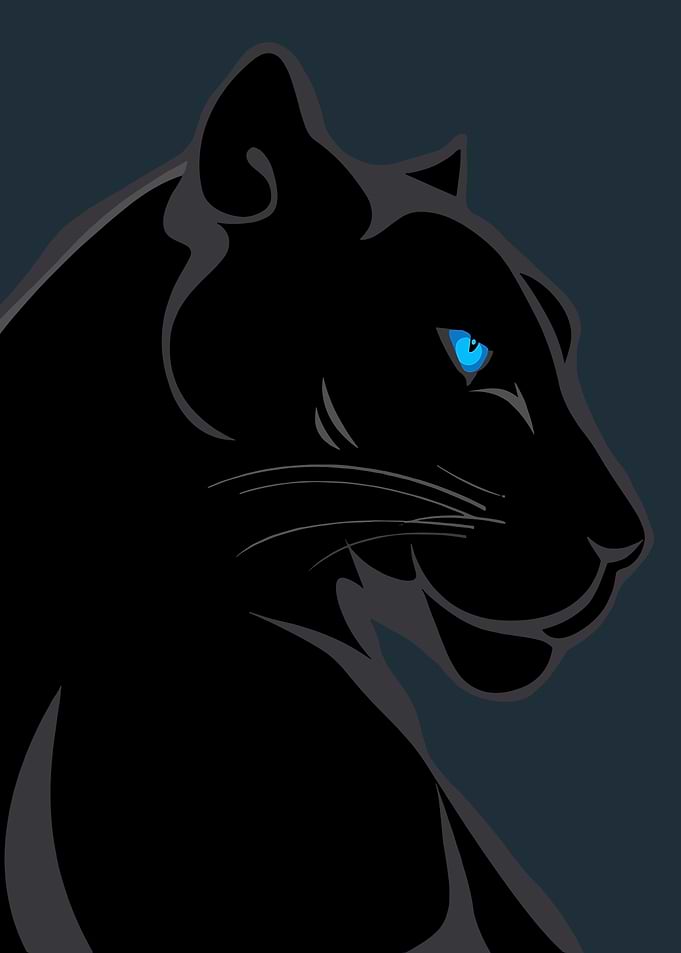 Black Panther with Blue Eyes Illustration