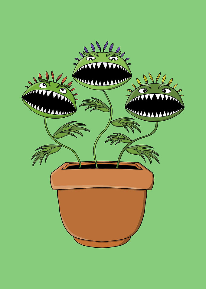 Cartoon Carnivorous Plants in Pot