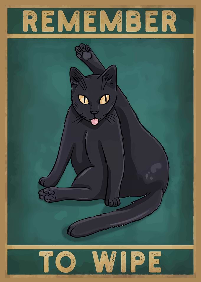 Remember to Wipe Cat Poster