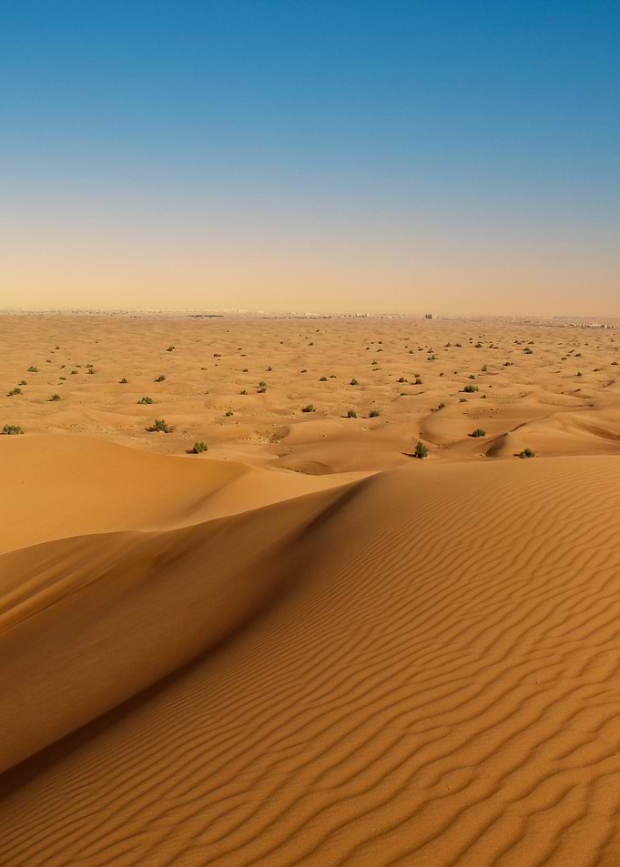 Desert Landscape with Sand Dunes