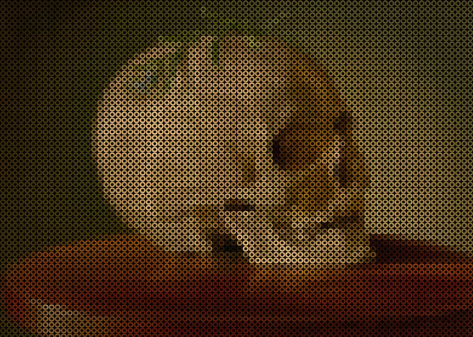 Still Life with a Skull and a Forget Me Not