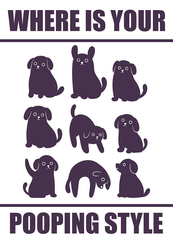 Where is your pooping style?