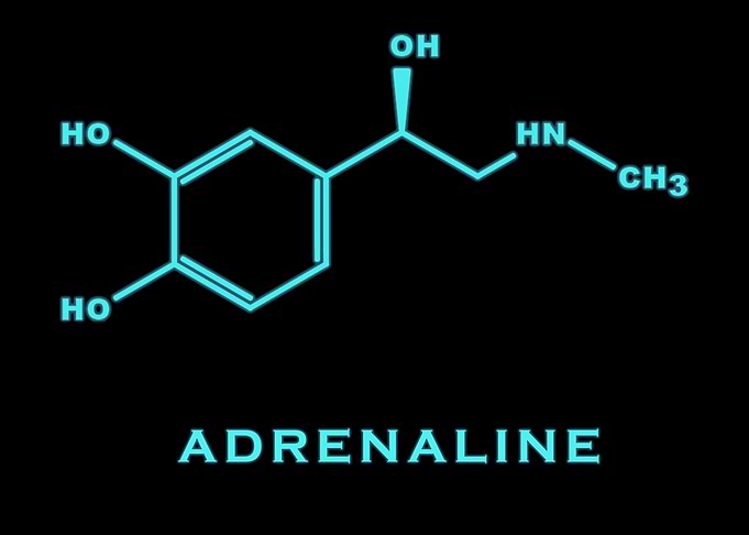 Adrenaline Chemical Structure in Blue