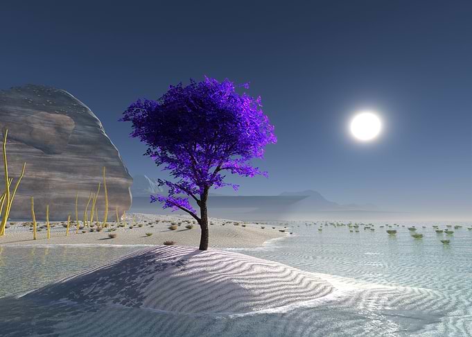 Purple Tree on Sandy Island