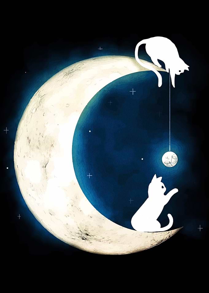 Cats on the Moon