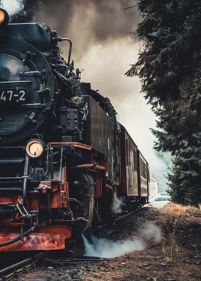 Vintage Steam Train in Forest Setting