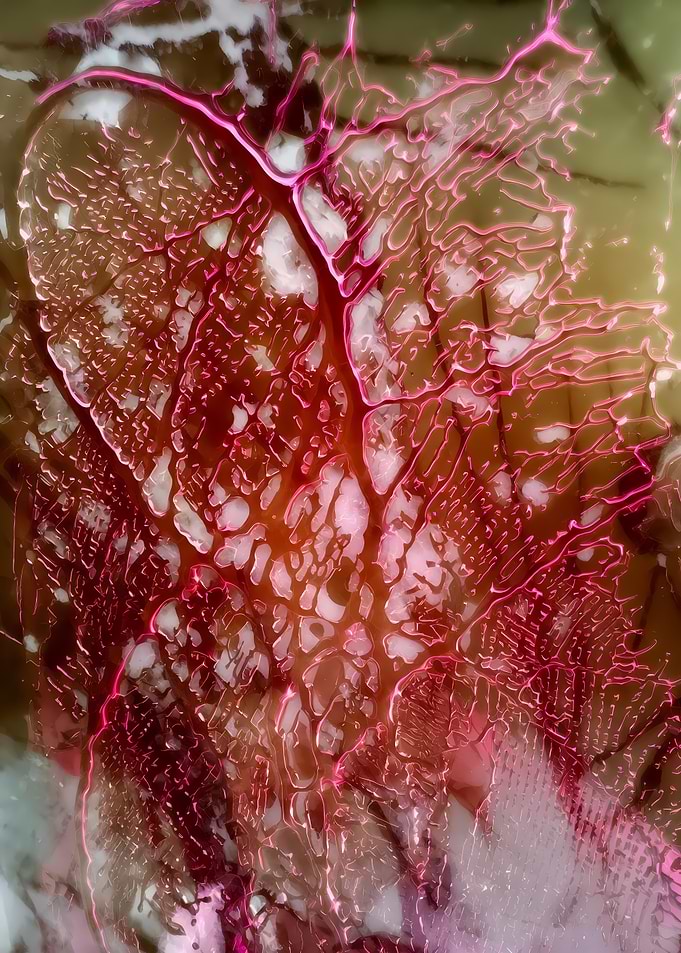 Abstract Porcelain #50 - Abstract Red and White Veined Pattern