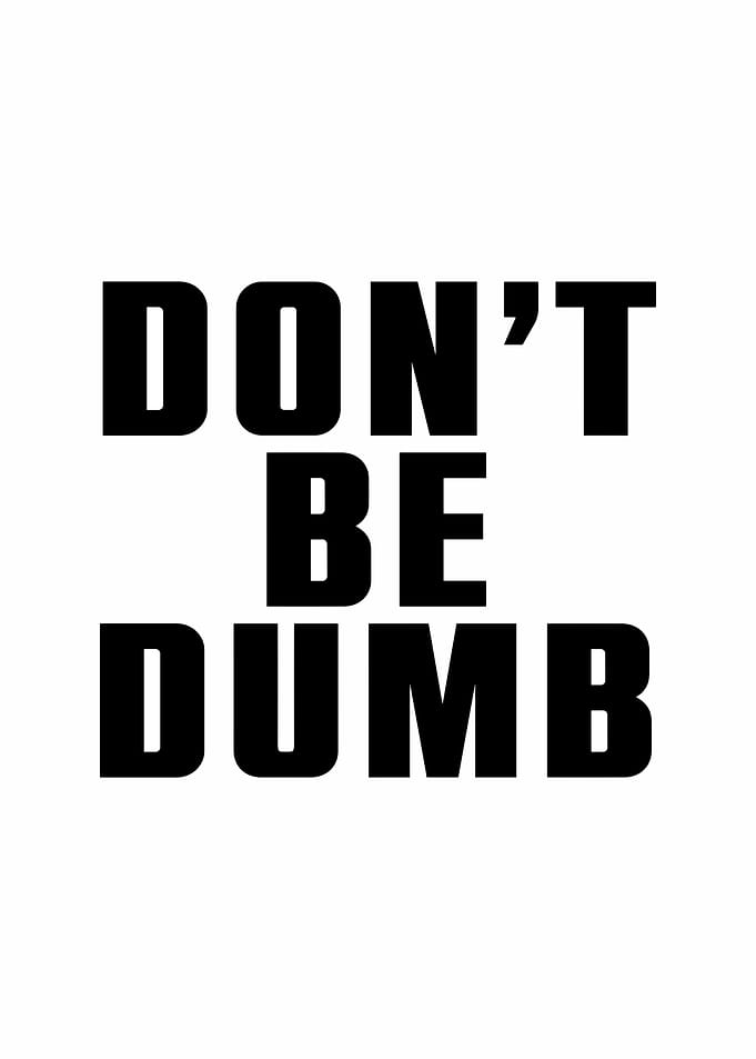 Don't Be Dumb Text Art
