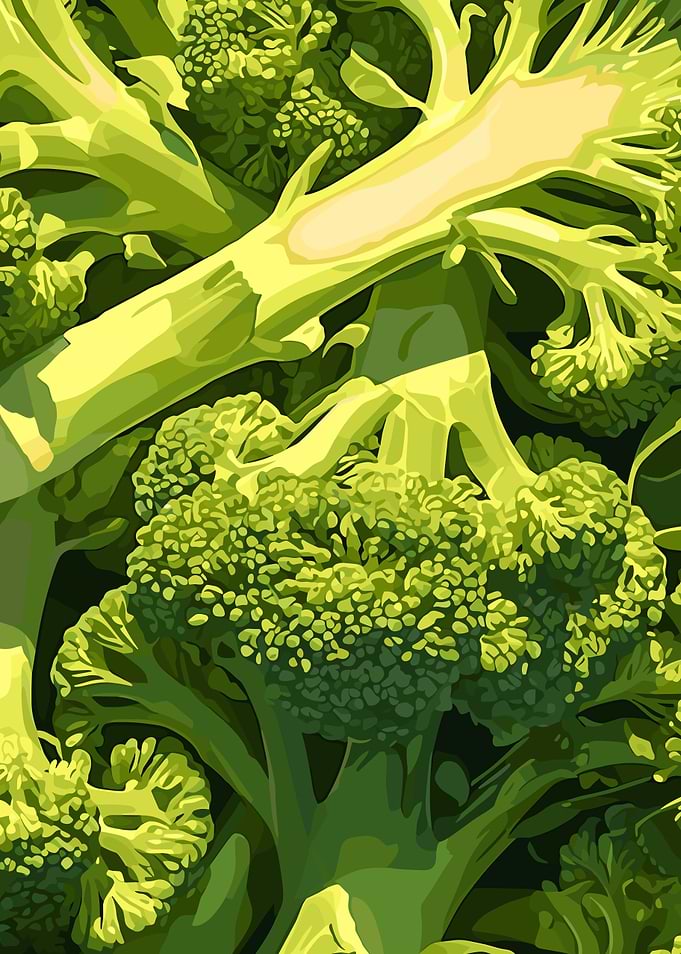 Broccoli Still Life