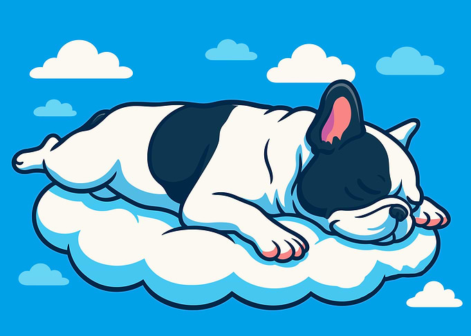 Sleeping French Bulldog on Cloud