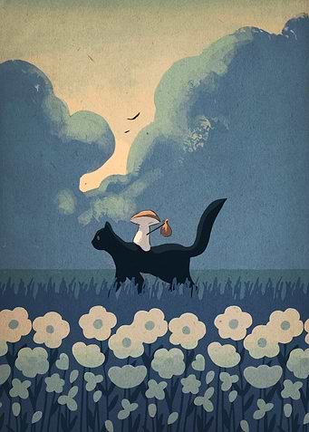 Black Cat and Mushroom Adventure