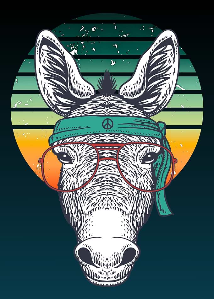 Cool Donkey with Glasses and Headband