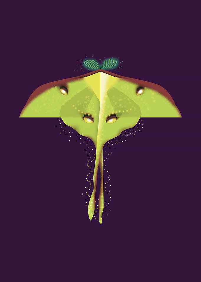 Dancing Moth