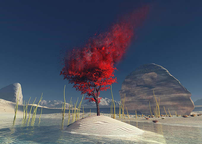 Red Tree in Surreal Landscape