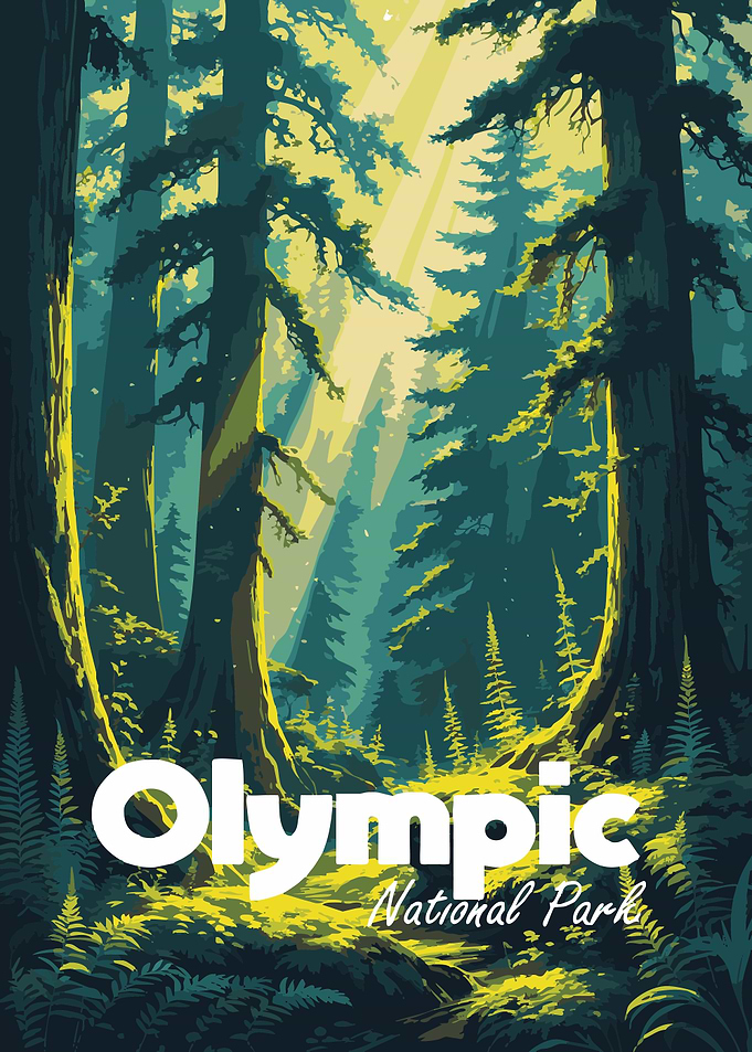 Olympic National Park Forest Illustration