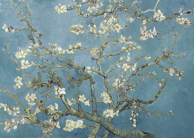 Almond Blossoms by Vincent van Gogh