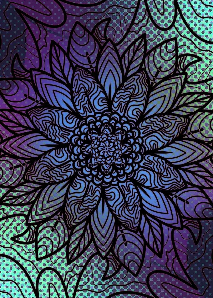 Cosmos Petals