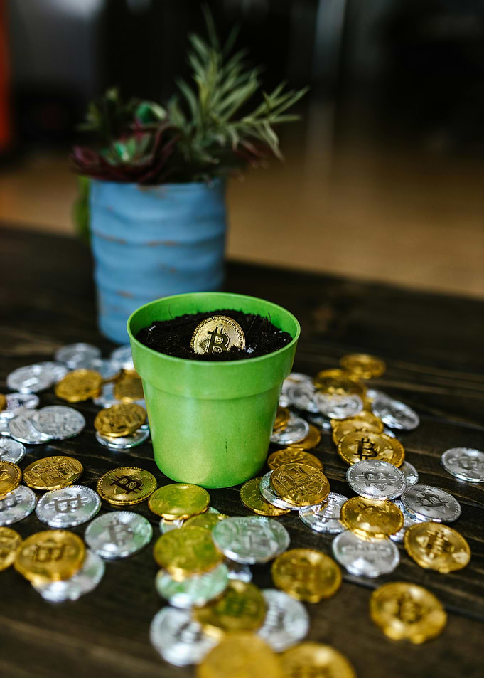 Bitcoin plant growing concept