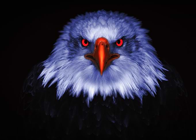 Intense Eagle Portrait with Red Eyes