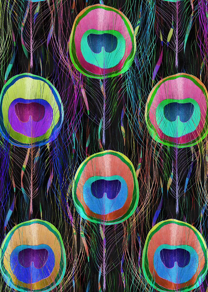 Colorful Peacock Feather Pattern on Black