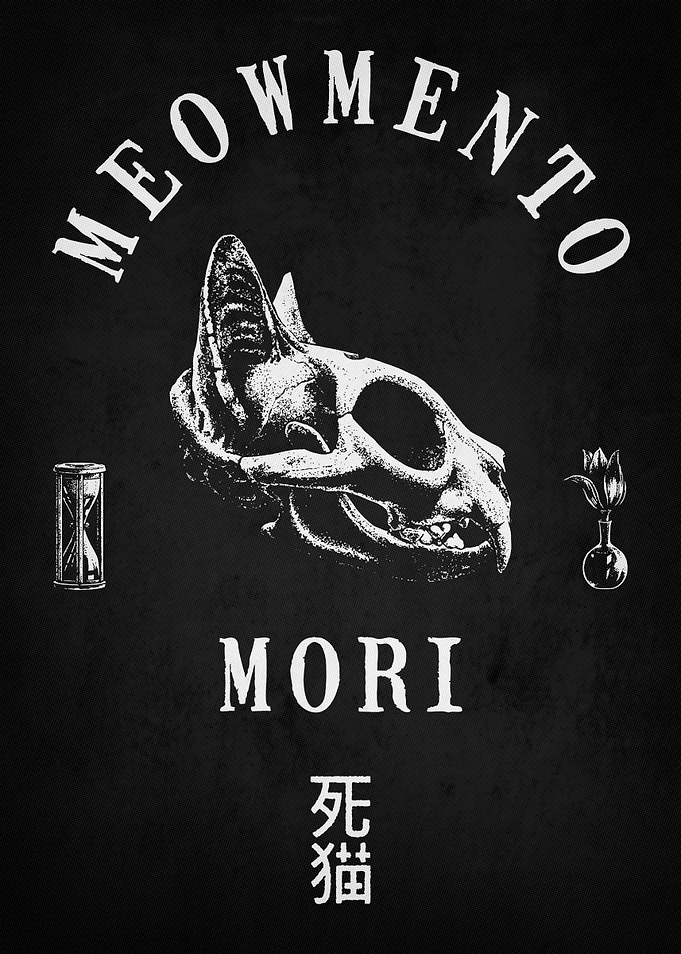 Memento Mori: Funny Cat Skull Illustration