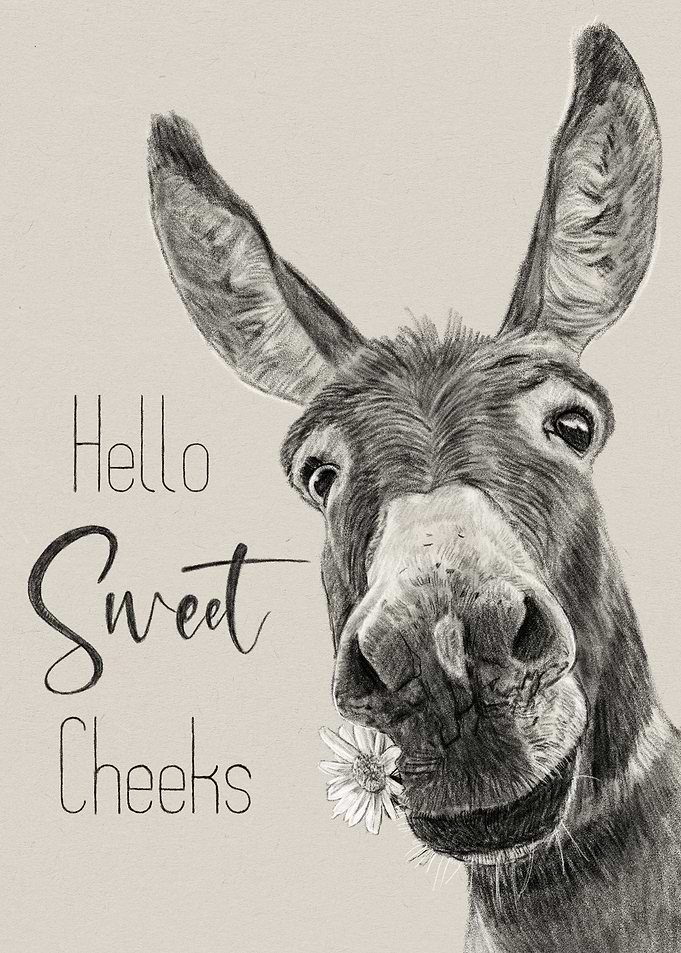 Hello Sweet Cheeks Donkey Art