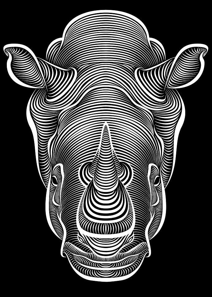 Abstract Rhino Head - Line Art