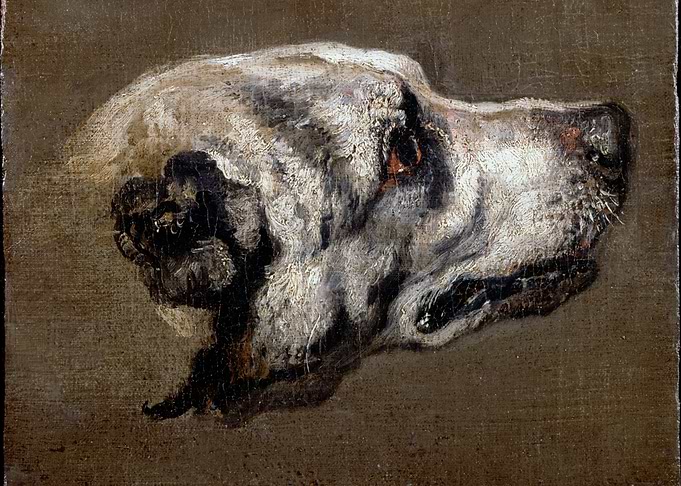 Dog Head Study Painting