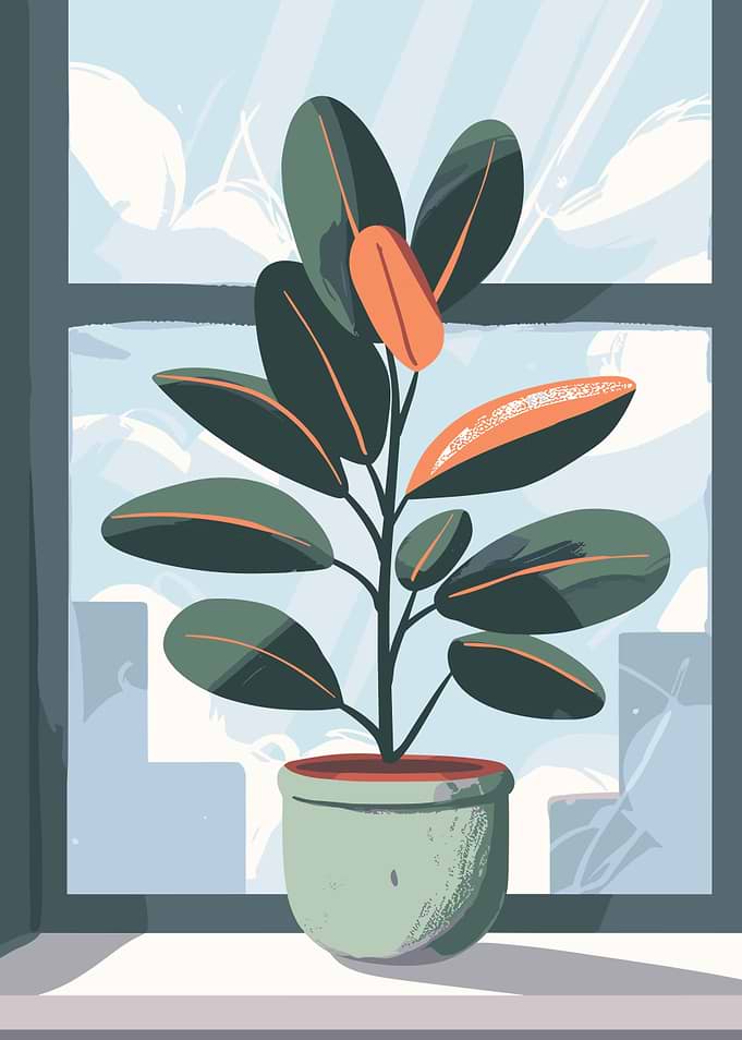 Potted Plant by the Window