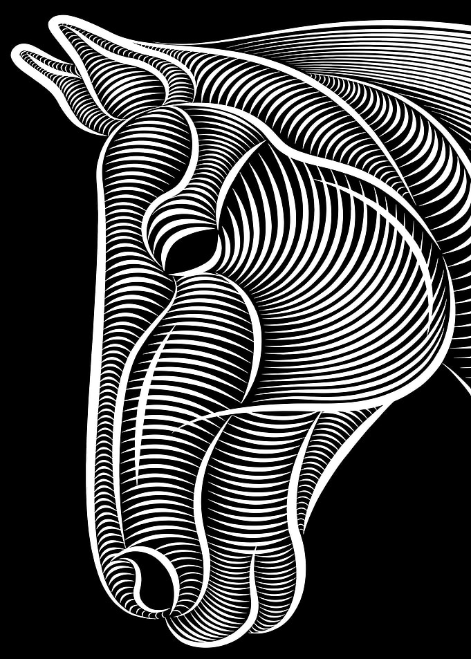 Abstract Horse Head Line Art