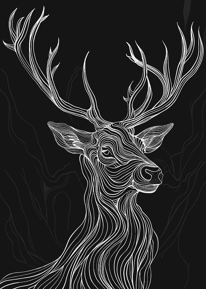 Elegant Deer Line Art on Black