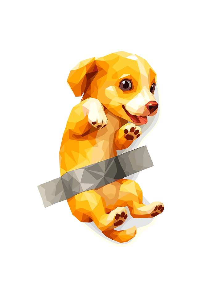 Taped Shy Dog