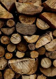 Stack of Cut Firewood Logs