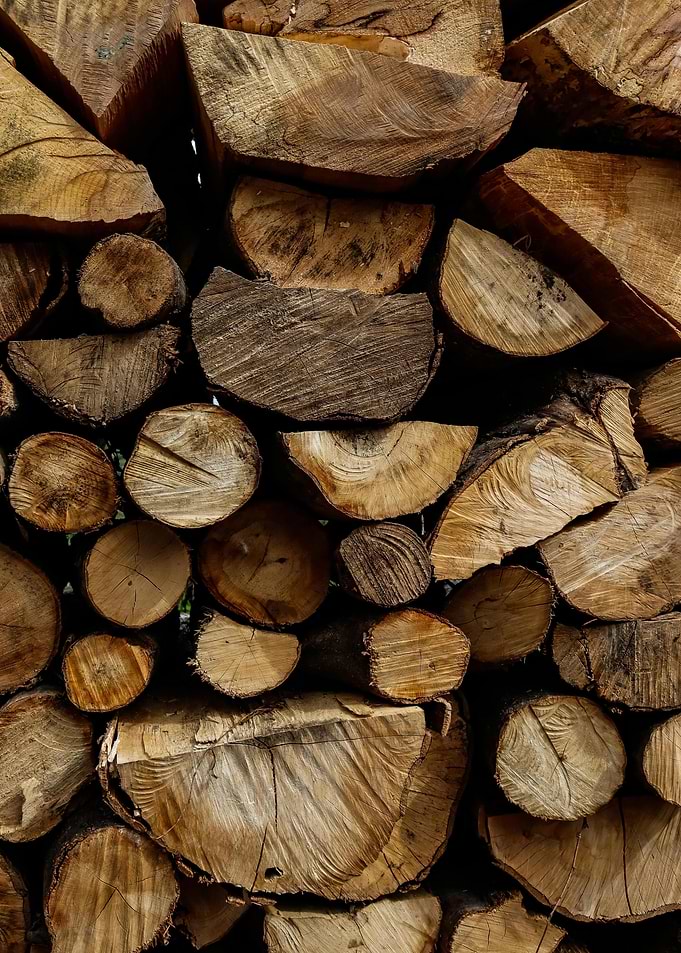 Stack of Cut Firewood Logs