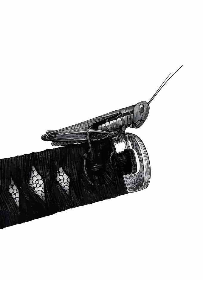 Grasshopper on Katana Hilt Illustration