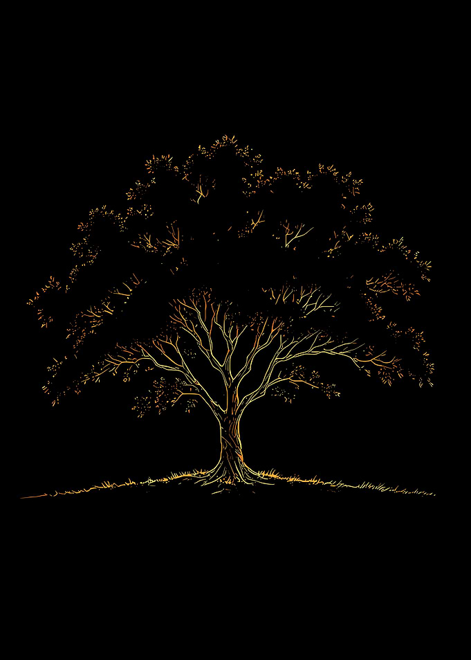 Golden Tree Silhouette on Black Background