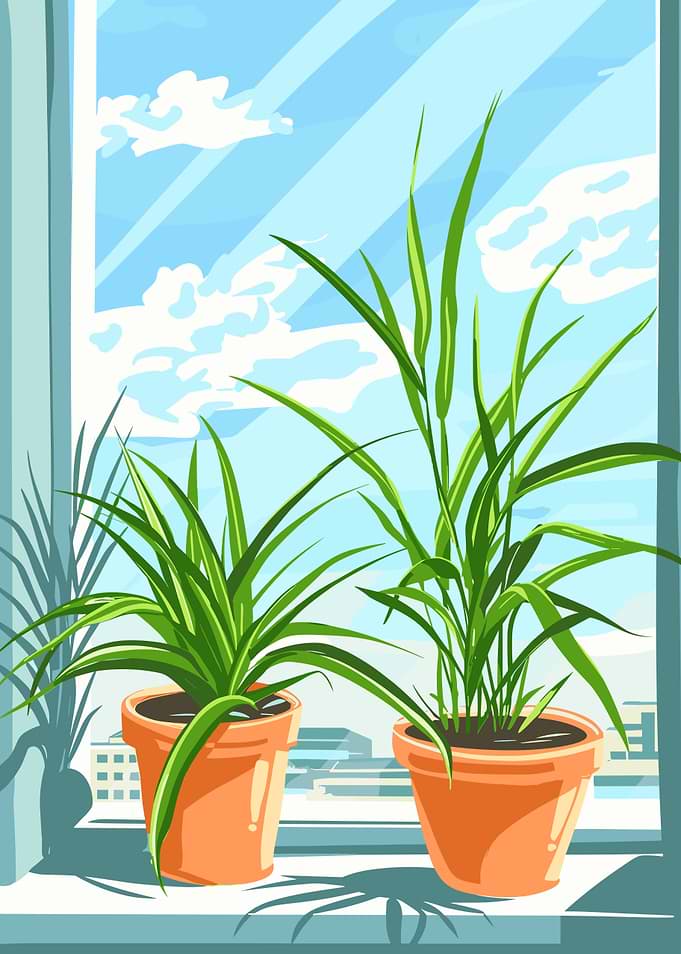 Potted Plants by the Window