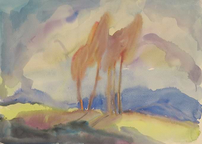 Autumn Birch Trees in a Sunlit Meadow