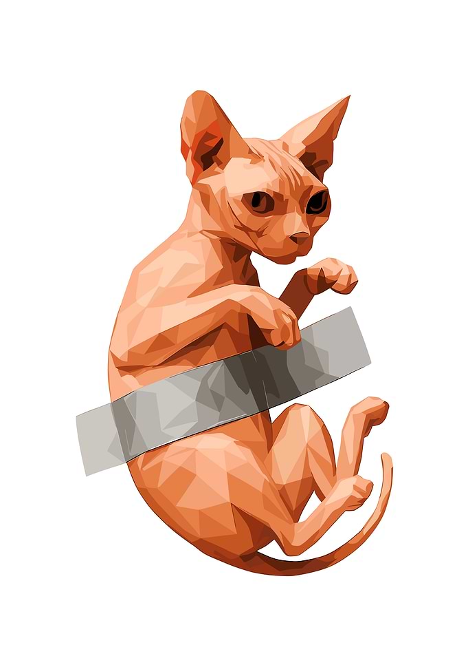 Sphynx Cat with Censor Bar