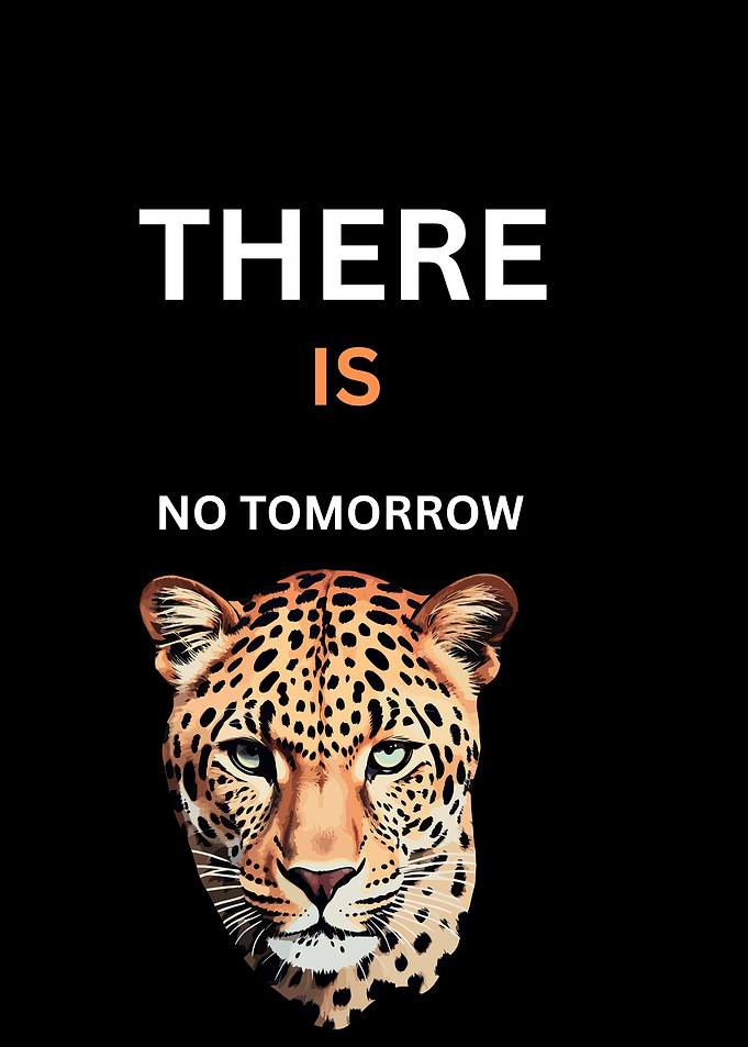Leopard with Motivational Text on Black