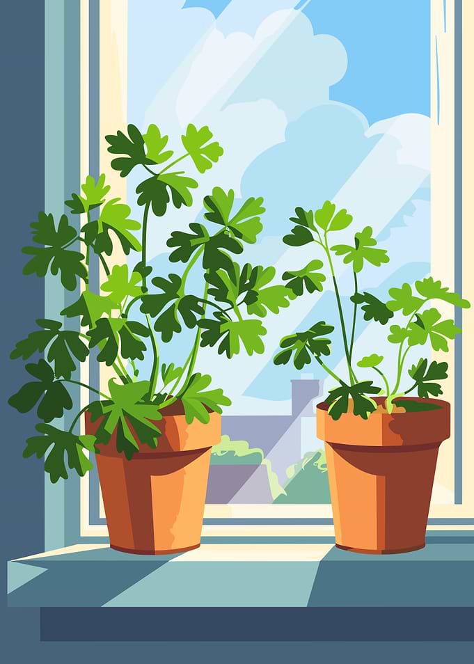Potted Plants on Windowsill Illustration