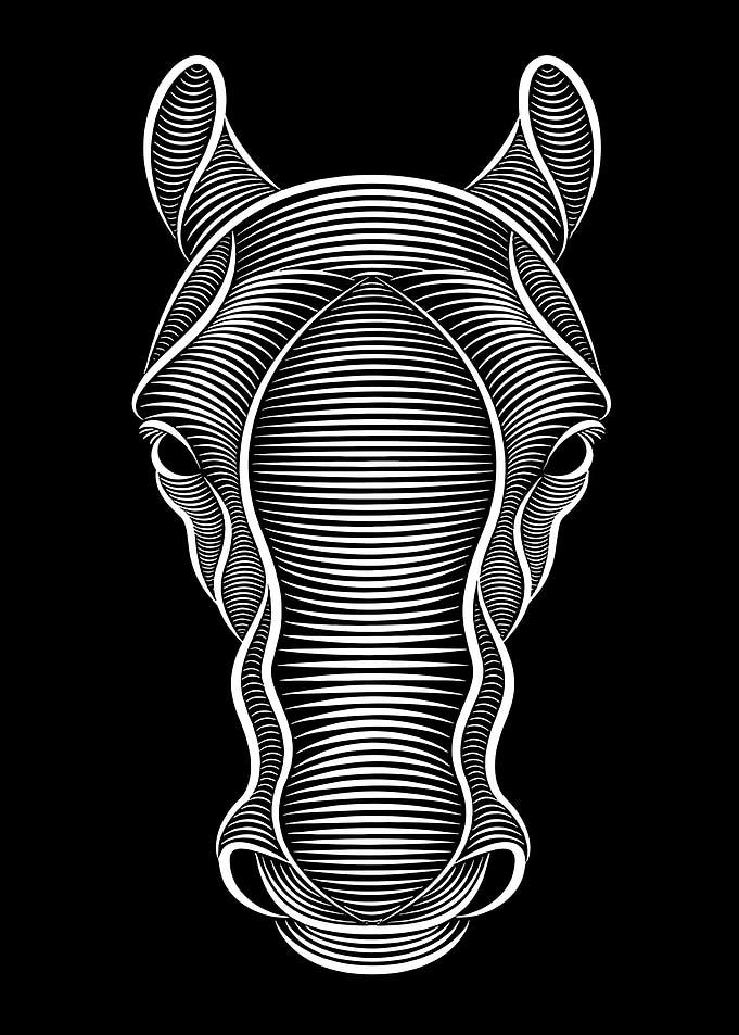 Abstract Horse Head Line Art