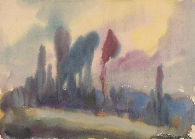 Tall Trees on the Edge of the Forest